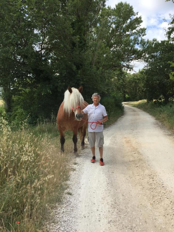 B&B Et Gite D'Ayran Saint-Quentin-la-Poterie Zewnętrze zdjęcie