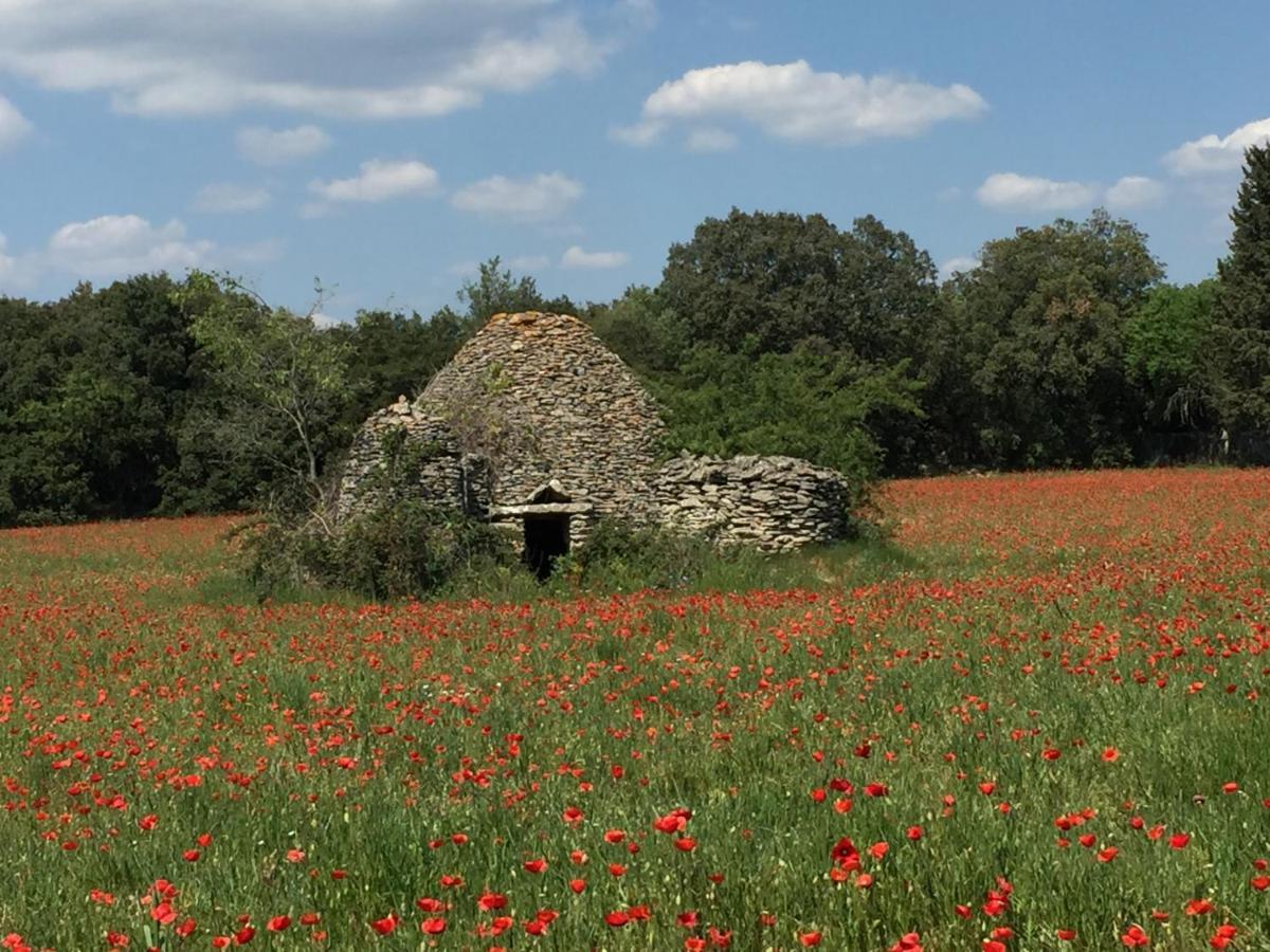 B&B Et Gite D'Ayran Saint-Quentin-la-Poterie Zewnętrze zdjęcie